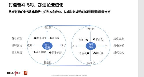 加速奮斗型組織進(jìn)化 構(gòu)建系統(tǒng)化文化管理體系的完整指南